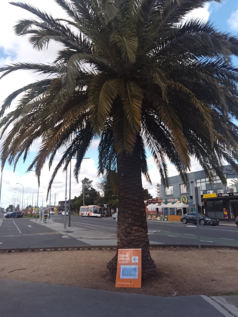craig_halsall's tweet image. This rail replacement sign at #Springvale looks like it's dreaming of a tropical getaway 🏝️🚌

@metrotrains 
#MetroTrain #PakenhamLine #CranbourneLine