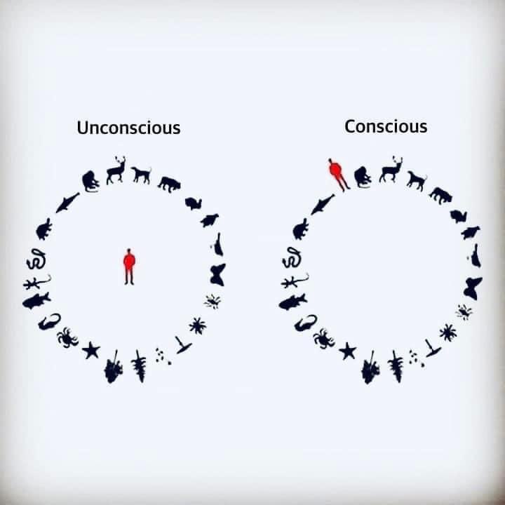 vnpoint's tweet photo. 🔆 Unconscious vs. Conscious https://t.co/XYpeA9IvJv