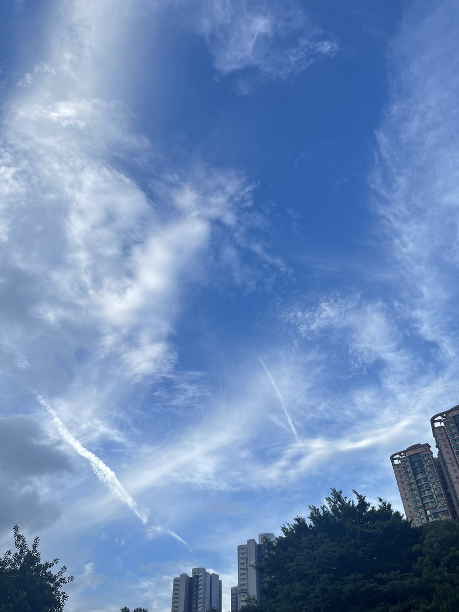 感情煩惱是因為用腦拍拖，而不是用心拍拖