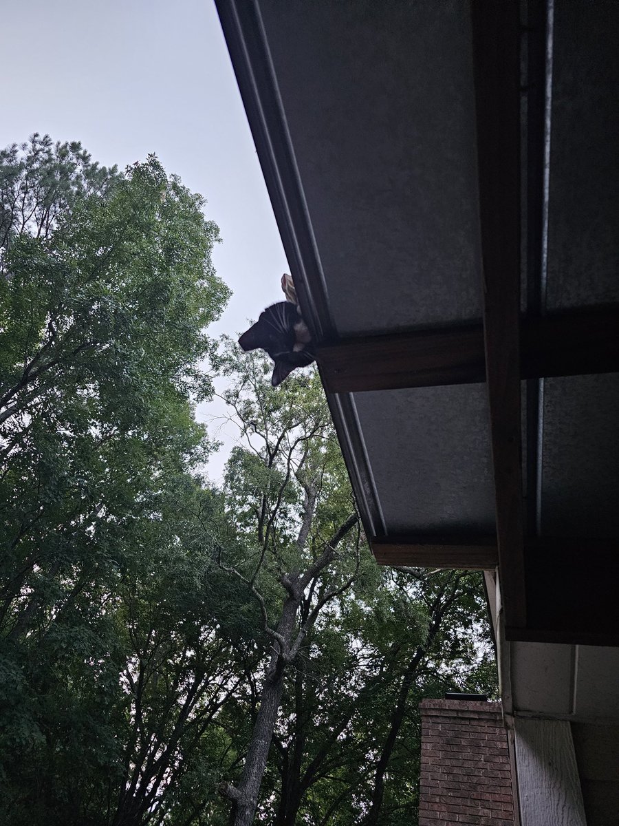 Why is my sleep being disturbed?