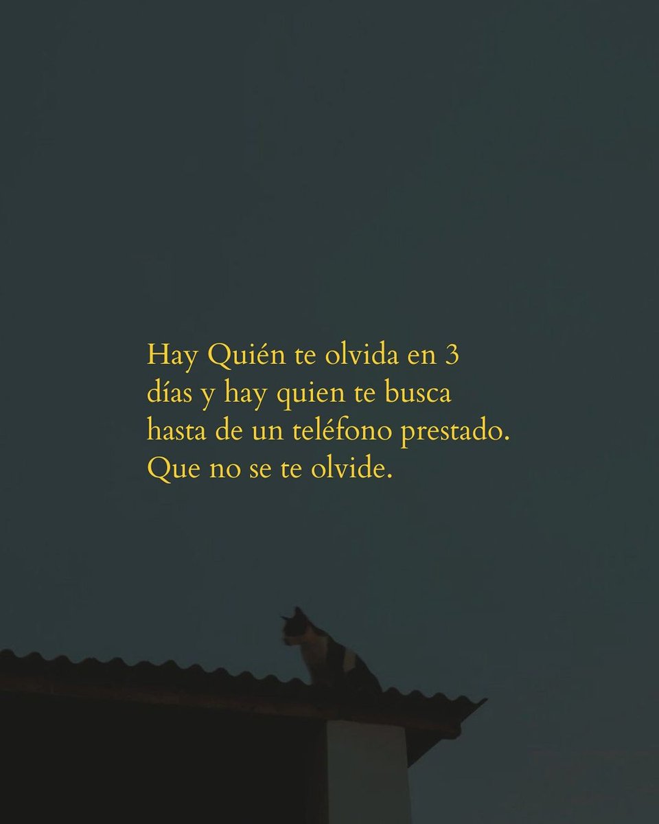 FraseBandidaX's tweet photo. https://t.co/lGEIVlc1Tb