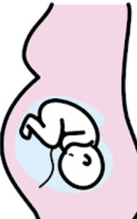 AMÉRICA CASTAÑEDA tweet media