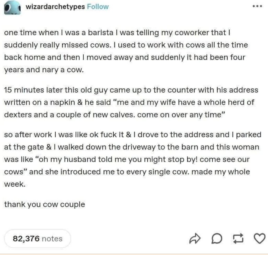 Respectful Memes (@respectfulmemes) on Twitter photo 