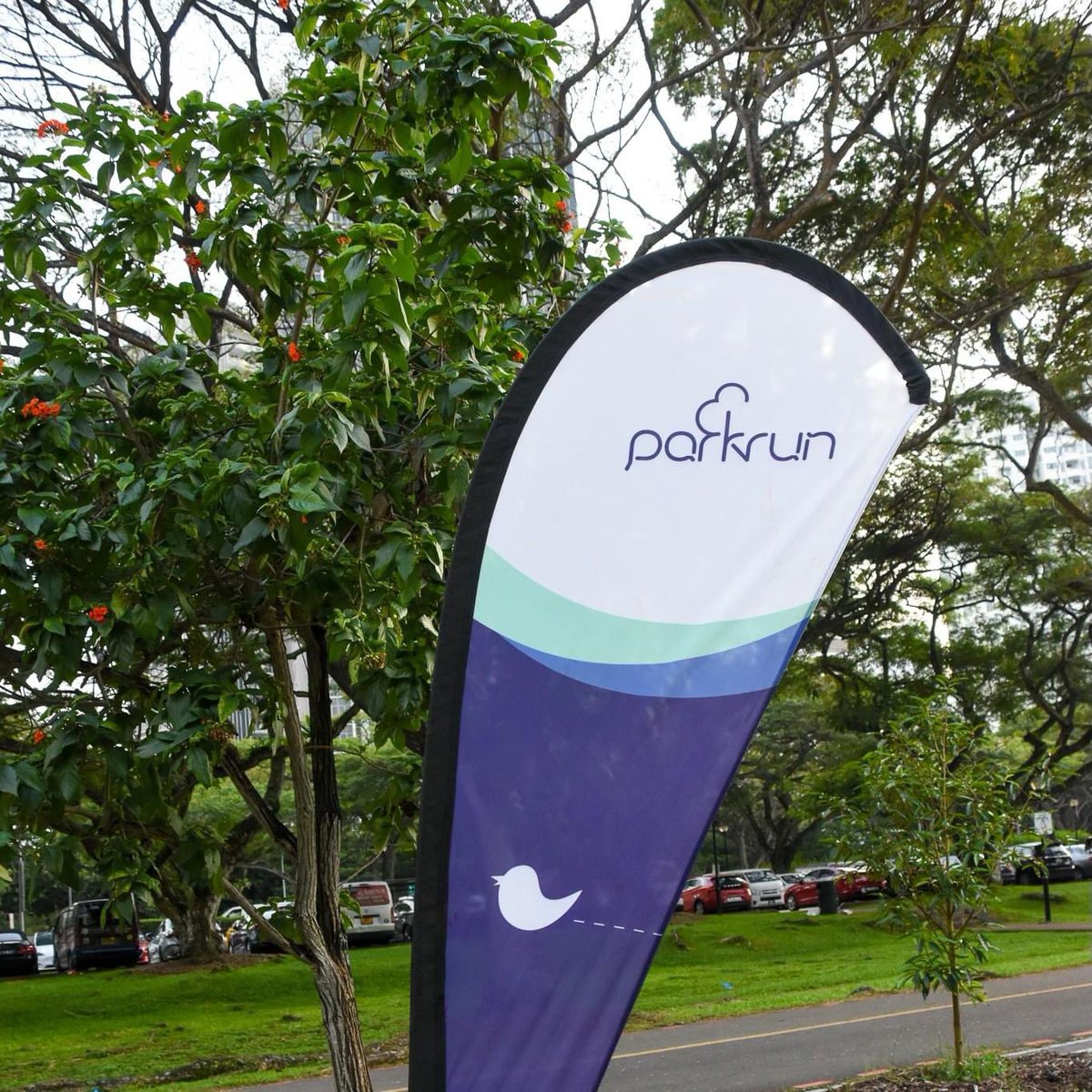 parkrun Singapore tweet media