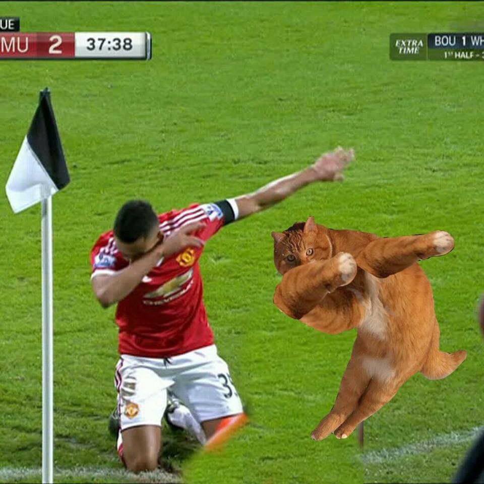 Baller Cat tweet media