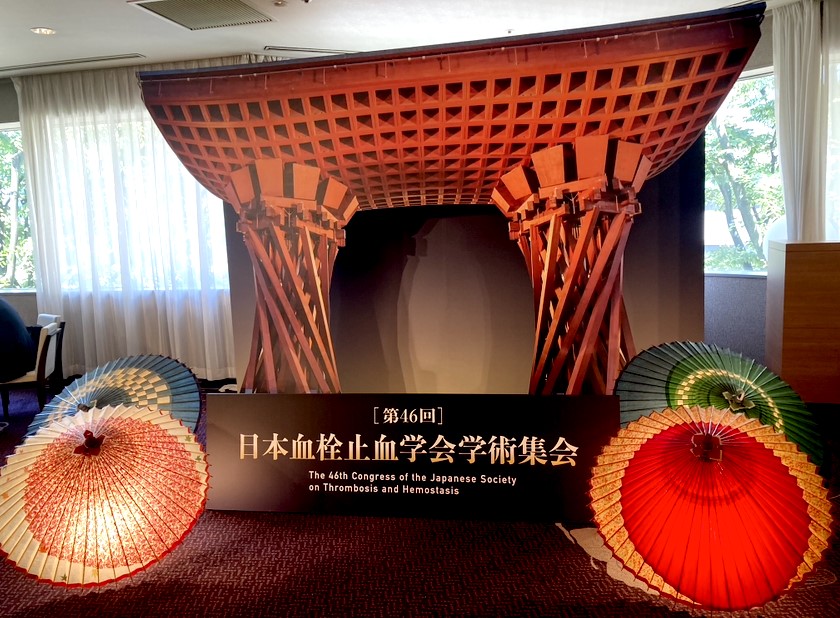 Mori_lab1's tweet photo. 第46回日本血栓止血学会SPCシンポジウムで研究発表をさせて頂きました(金沢)。オーガナイズして下さった木戸屋先生、山城先生のご尽力で盛会となりました! 私は「若年性にもとづいた小児疾患治療への取り組み」という題で若年性研究の現在地について発表しました。
#成育 #若年性 #院生募集 https://t.co/aY2RvIawRd