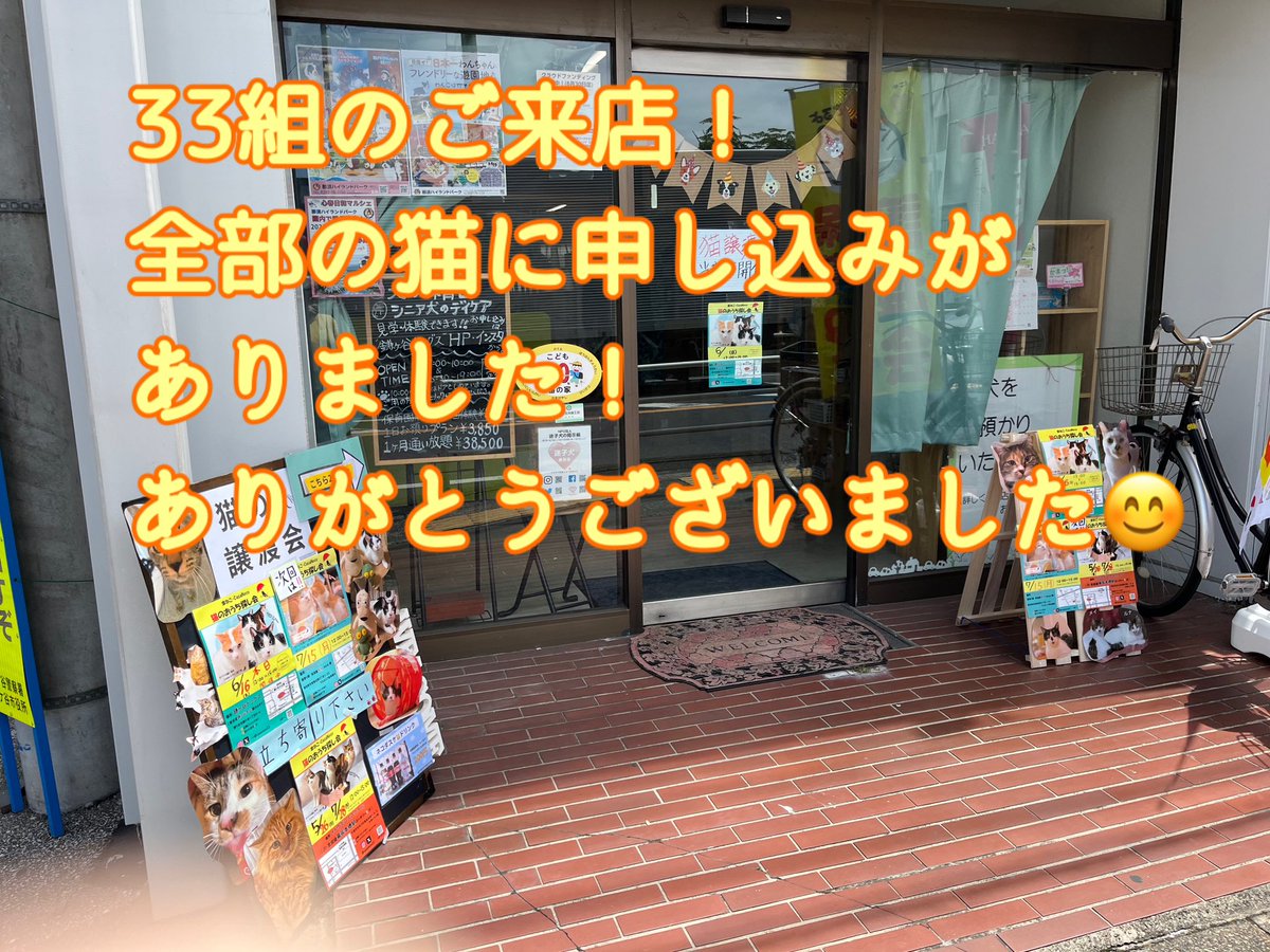 kamagayadogs's tweet photo. #鎌ケ谷ドッグス
#傘ネコ

6月16日日曜日の譲渡会、なんと参加した全ての猫さんにお申し込みがありました！
��てくださった皆さん、ありがとうございました😊
なかなかない結果で、ビックリしています。

#譲渡会 #猫 #保護猫譲渡会 https://t.co/t3YByIeAb6