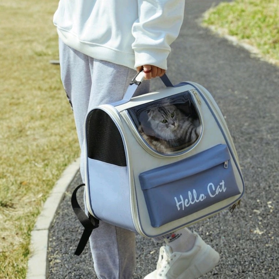 VoghionOfficial's tweet image. Travel in style with our cat travel bags! 📷📷 Available in a variety of vibrant colors, your furry friend can explore the world with you.📷📷
Search id: @22850710
#CatTravel #PetTravel #VoghionSale #voghion #voghionshopping