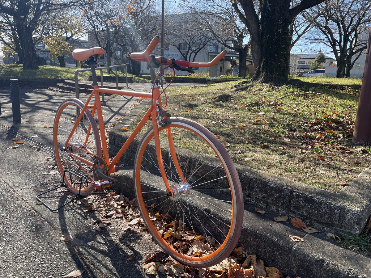 coccipedale's tweet photo. 同系色のオレンジ×モカの相性が抜群な一台🚲ポップな印象のオレンジフレームですが、落ち着いた雰囲気に仕上がっています✨ https://t.co/0c2OwHHPX4