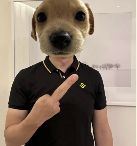 Hustletiips's tweet photo. It feels like $BILLY wants a billi.

Is this the next 100x memecoin? https://t.co/HJhzOseU21