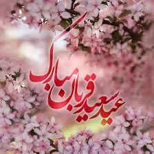 Dr. Zakia Adeli tweet media