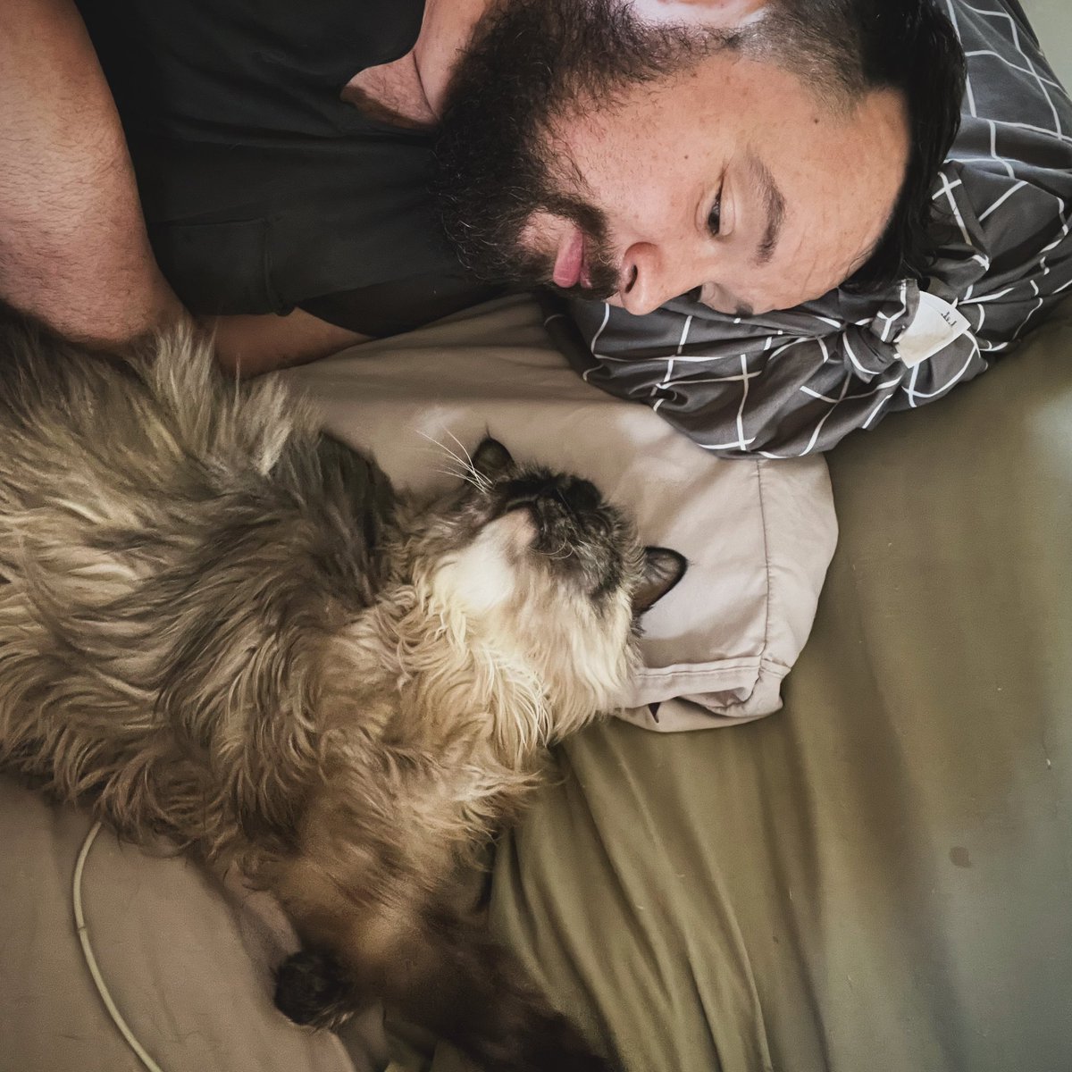 Happy Fathers Day to all the cat dads out there #happyfathersday #cat #gayselfie