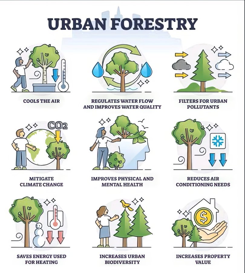 Think cities can't breathe? 

Urban forestry is our unsung hero, turning grey to green, slashing stress, cleaning air and water AND fighting off urban heat like an eco-shield. 

Let's champion our leafy warriors and transform our concrete jungles
<a href="/UNHABITAT/">UN-Habitat</a>