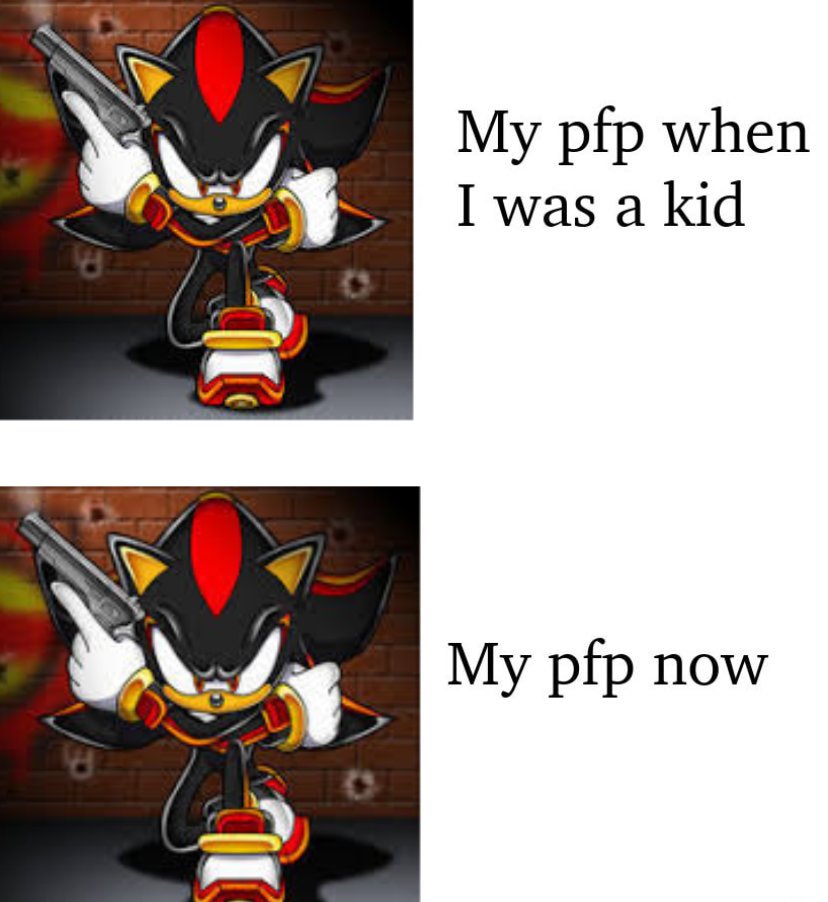 #1 Shadow The Hedgehog Fan tweet media