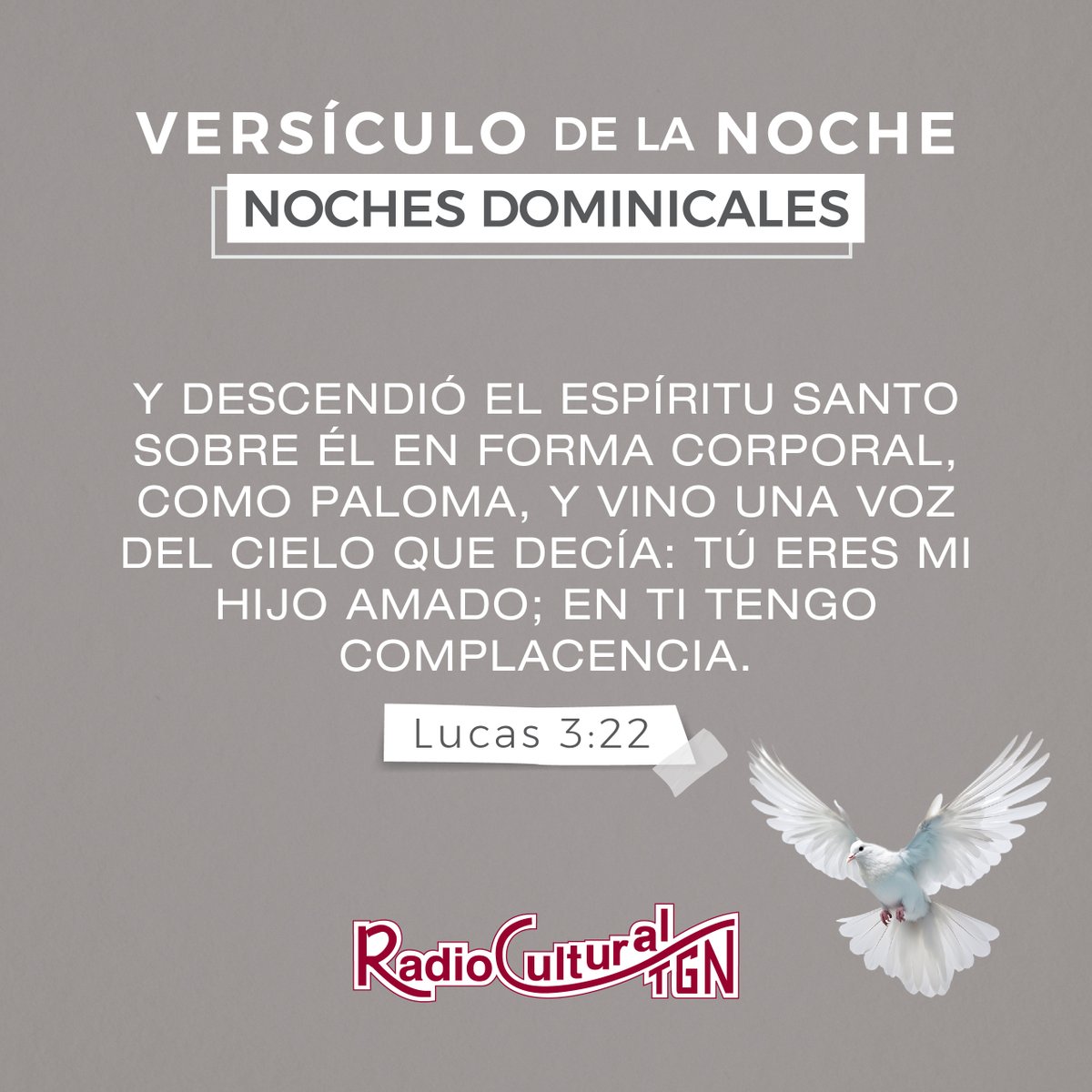 RadioCultural's tweet photo. 📖 El versículo de la noche en #NochesDominicales:

"Y descendió el Espíritu Santo sobre él en forma corporal, como paloma, y vino una voz del cielo que decía: Tú eres mi Hijo amado; en ti tengo complacencia." Lucas 3:22 https://t.co/X3xo3ojA2Z