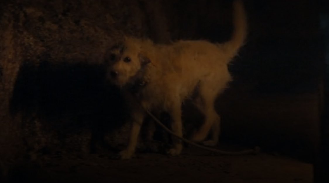 Thrones Updates tweet media