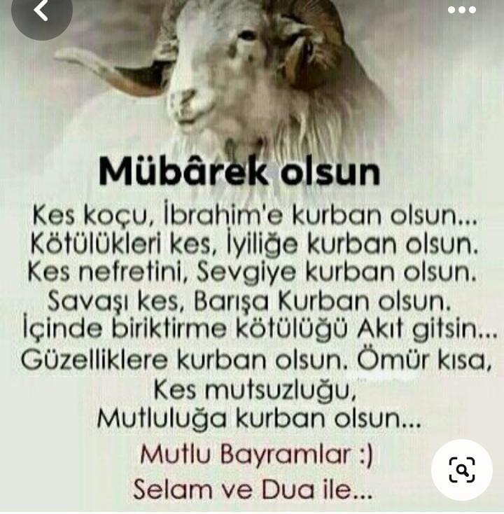 Hayırlı bayramlar