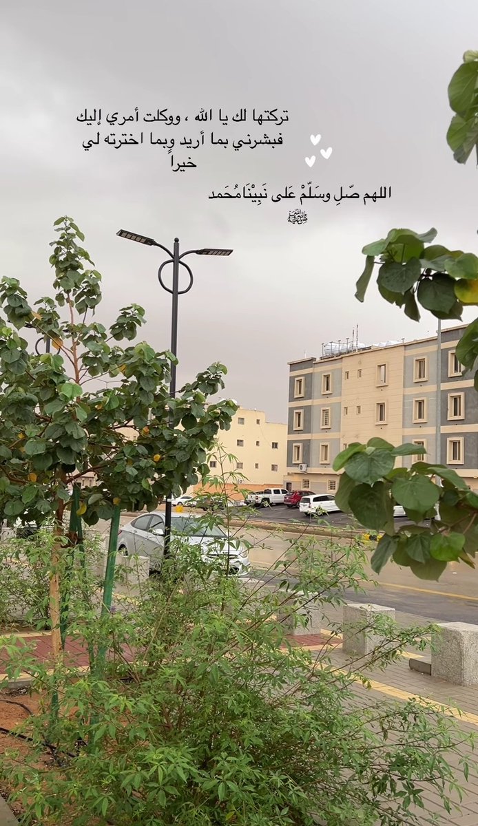 #ووين_lلحب صباحووووووو ❤️☕
....

دائماً يأتي #الصباح ⛅

#بنسماته الهادئة التي تحمل معها امل
يتجدد وفي داخلنا #وتفاؤل بيوم لا يحمل سوى الخير
#ويقين بالله أنه يوم سعادة سيعلوه حب وفرح ومسرات ⛅☕
....

   #صباح_الأشیاء_المشرقة  لــ أرواحكم النقيه ⛅☕❤️