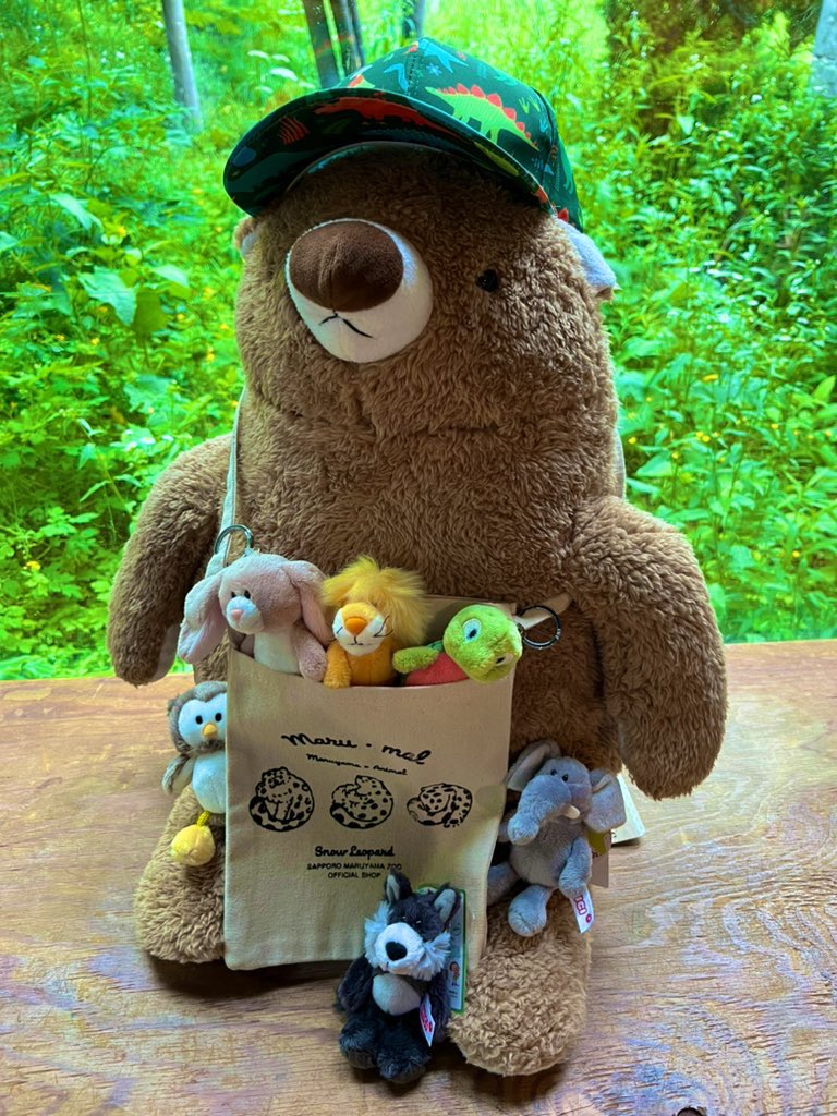 円山動物園オフィシャルショップ on X: 