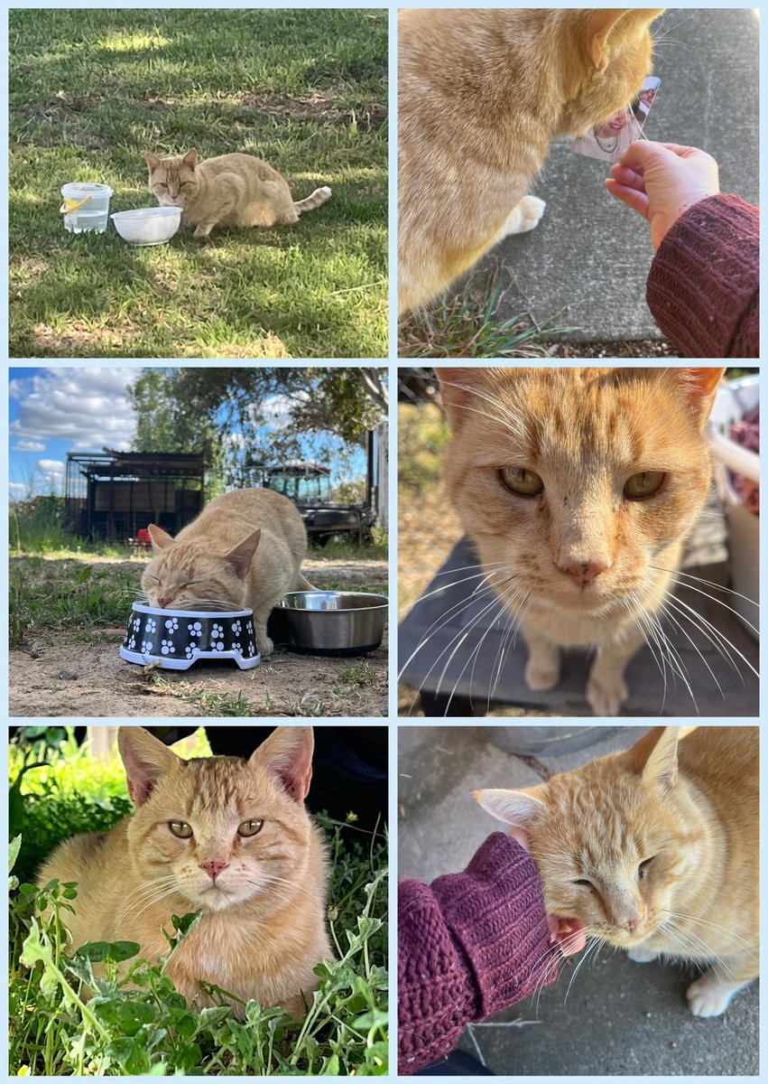 Hello my fellow #Beyourluve my human &amp; I would like to share with you my journey from being alone to finding my human and being apart of #BuildFamilyLuve
Be strong, Be kind, Be your beautiful self and Be Your Luve 

Love and support <a href="/JakeB4rever/">BIU.</a> , love yourself and each other 💙