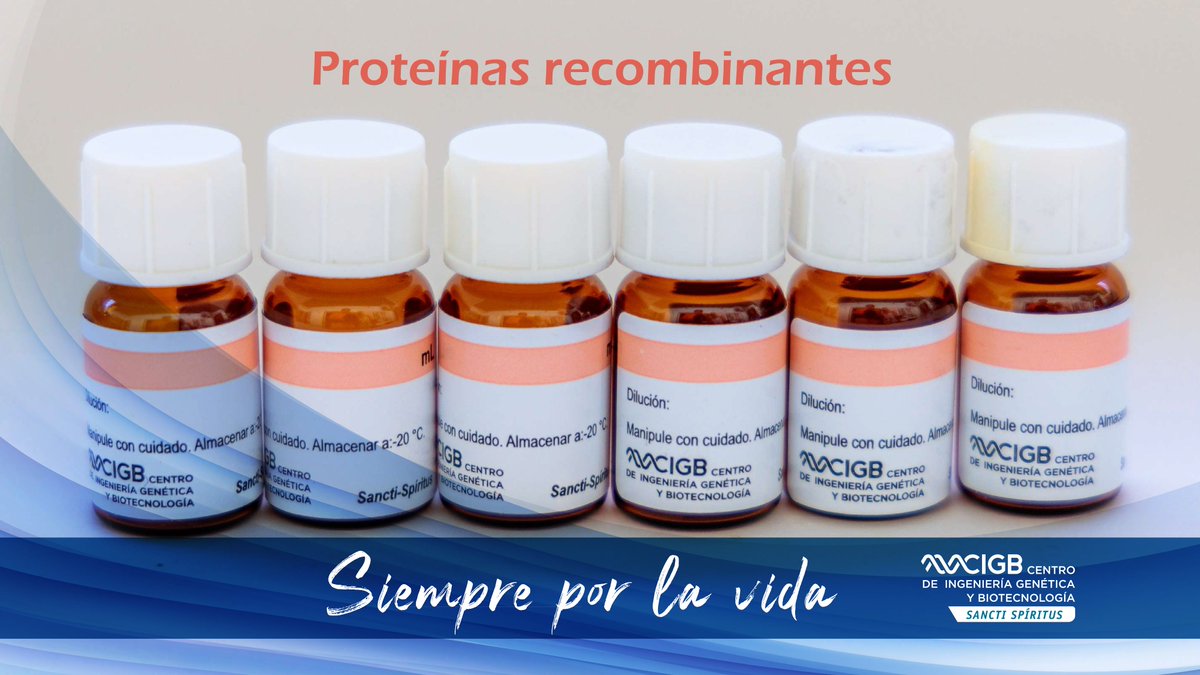 El <a href="/CigbS/">CIGB S.S.</a> de Sancti Spíritus es proveedor de reactivos (proteínas recombinantes), imprescindibles en la fabricación de los diagnosticadores de la tecnología SUMA para el diagnóstico del VIH y la hepatitis C, comercializados por @TECNOSUMA. S.A. y producidos por <a href="/inmunoensayo/">Centro de InmunoEnsayo</a>.