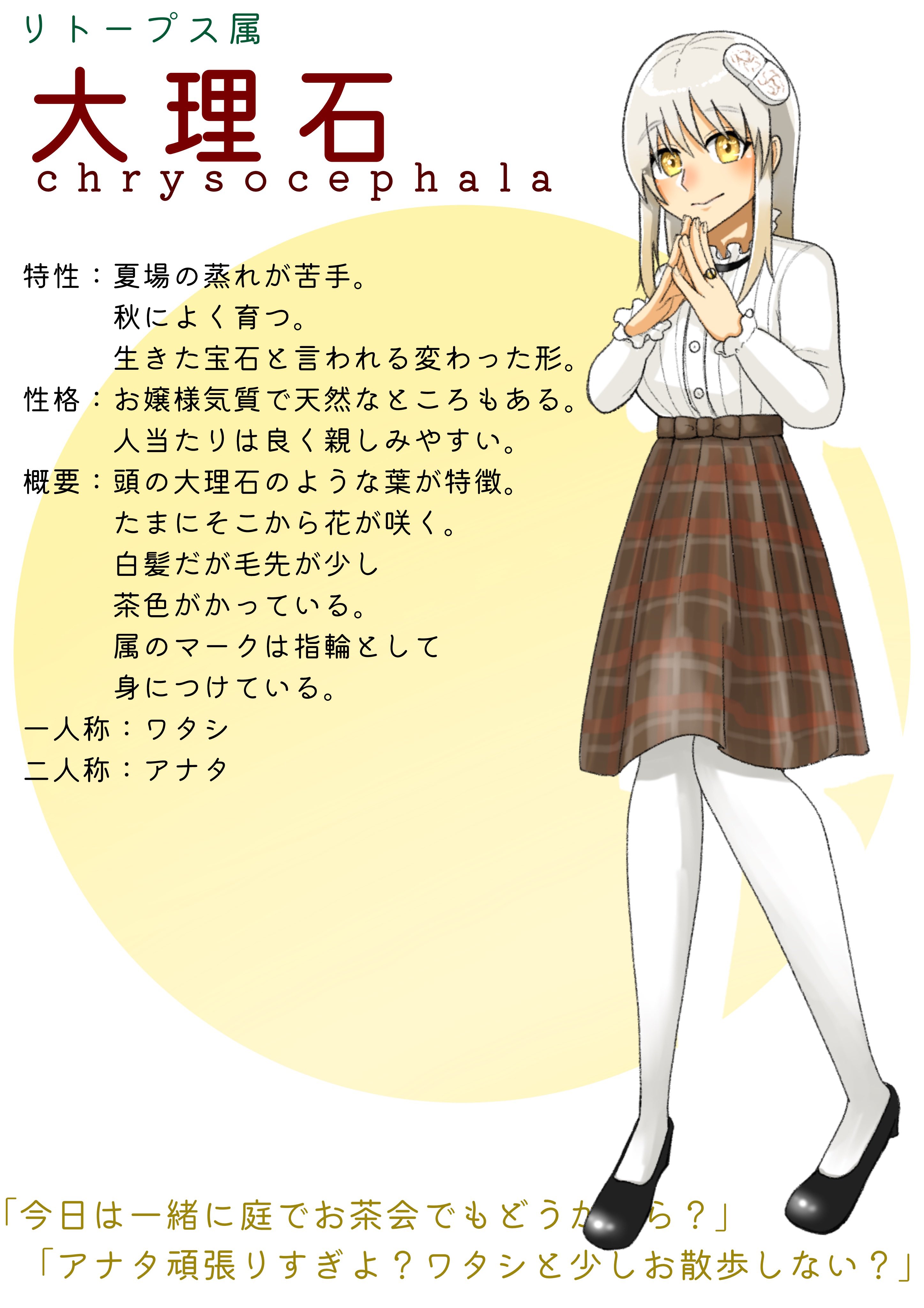 【お取り置き　購入不可】 ハイセンス】55v4k液晶テレビ☆2023年製 新品/6ヶ月保証付 管理便号