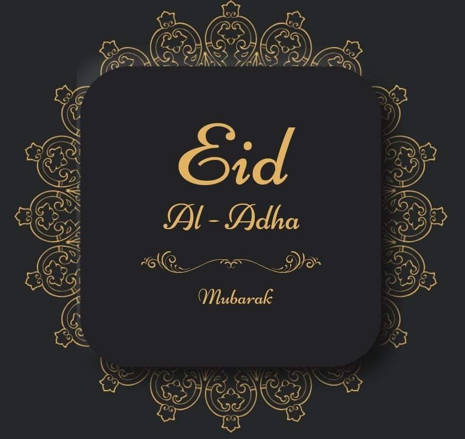 Sajjad Agha (@sajjadagha8) on Twitter photo 