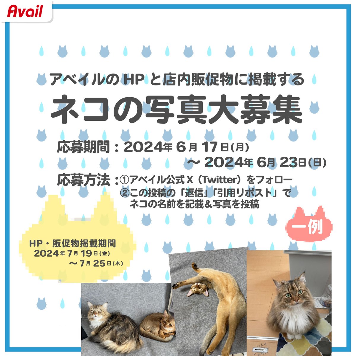 gravail's tweet photo. 😺ネコ😺の写真大募集！！

7/20（土）発売のテーマがネコ特集なので、
ネコの写真を大募集します！

＼応募方法／
この投稿の「返信」or「引用リポスト」でネコの写真と名前を掲載してください😻

飼いネコが全国デビューしちゃうかも😍！？
リポストで拡散してね！

#アベイル #avail https://t.co/eD7Uv2b9kx