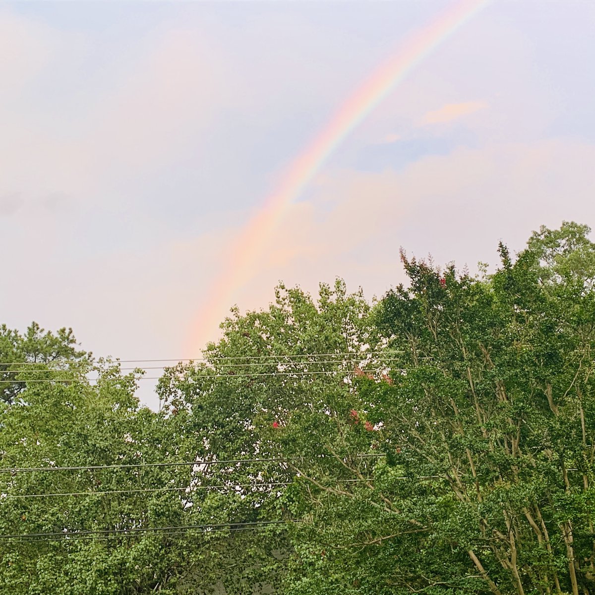 FieldsAwakens's tweet photo. Y'know, I do love a good rainbow. 🌈
#Rainbow #Sundays #LiveLifeInColor https://t.co/CHRF0pcn3C