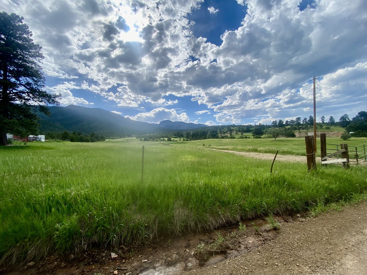 Reade Tillman tweet media