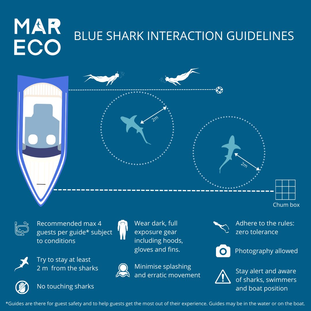 Marine Research & Conservation Foundation (MARECO) tweet media