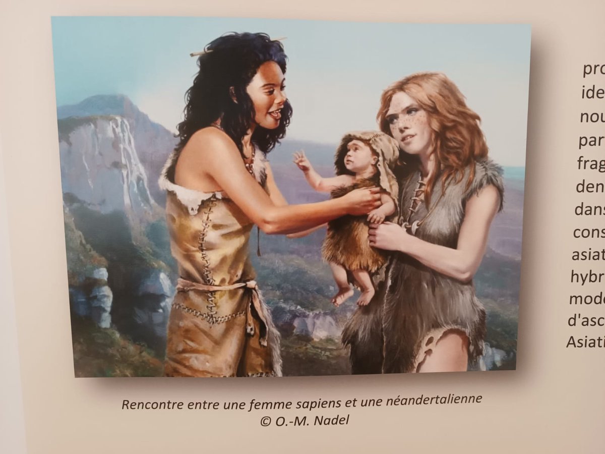 ArcheoOrleans's tweet image. #JEArcheo #MOBE
L'exposition "Néandertal, 4% d'intimité" était au @MuseumOrleans ce week-end ! A l'occasion des Journées Européennes de l'Archéologie, Marc Laroche (@FahLoiret) nous a fait (re)découvrir ce cousin de l'Homme moderne. De nouvelles dates à venir !