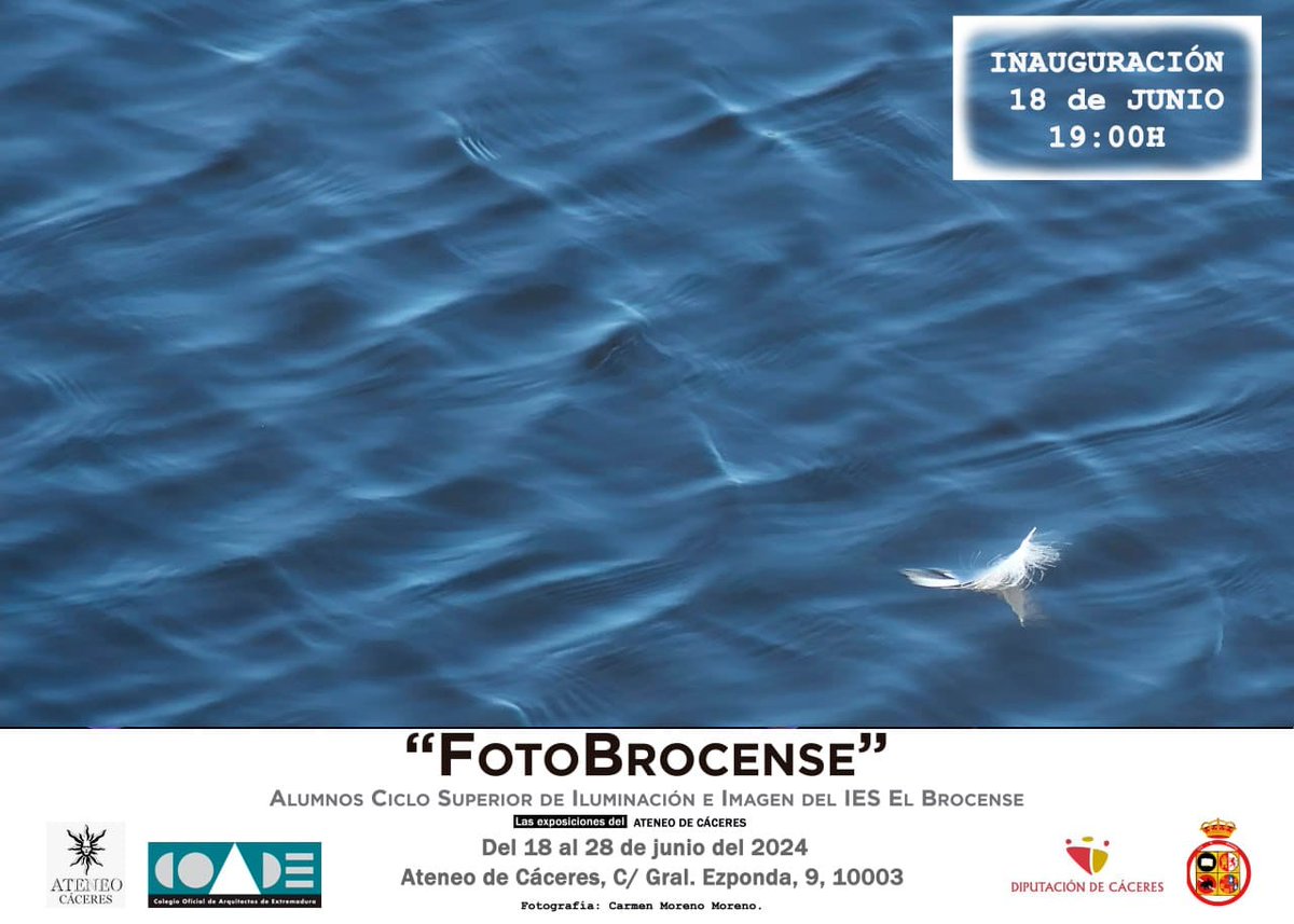 El patio del Ateneo de Cáceres acoge una nueva edición de la muestra fotográfica “FotoBrocense”,  puede visitarse del 18 al 28 de junio.

#FotoBrocense #ExposiciónFotográfica #AteneoDeCáceres #IESBrocense #Fotografía #JóvenesFotógrafos #Cáceres #ArteVisual #MuestraFotográfica