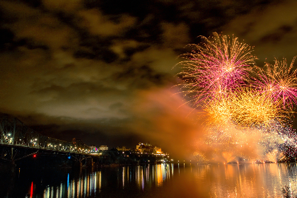 Fitch Max tweet media