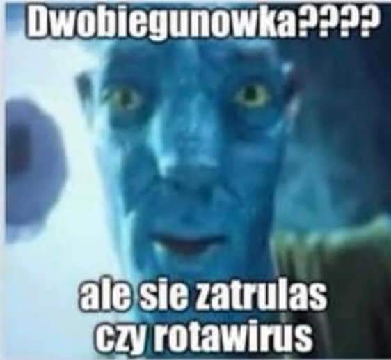 ye0na_'s tweet photo. sesja dzień 1: LOOO BY CIE JASNY GWINY SCISNOŁ MAMUŚKA niby zdane ale tak na słowo honoru #granicamorfologiczna https://t.co/vLen0OzuDY