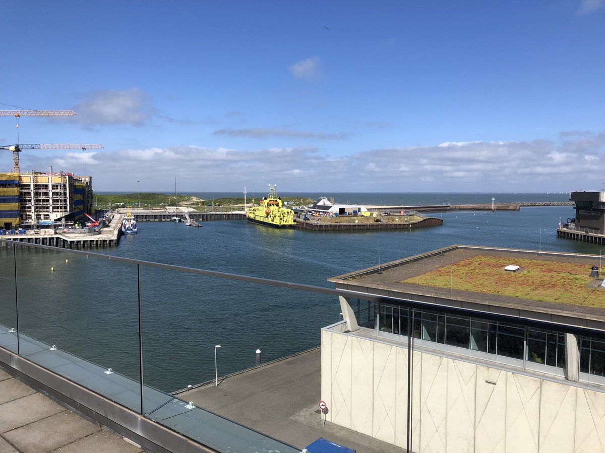 Harold Weffers tweet media