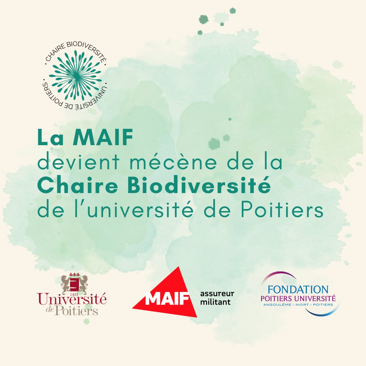 #Partenariat

🌿 La <a href="/MAIF/">MAIF</a> devient mécène de la Chaire Biodiversité de l'<a href="/UnivPoitiers/">Université de Poitiers</a> !

🙏 Un grand merci à la MAIF, partenaire de la <a href="/FonPoitiersUniv/">Fondation Poitiers Université</a> depuis 2009, pour sa confiance et sa fidélité.

Pour en savoir plus 👉 fondation.univ-poitiers.fr/la-maif-devien…