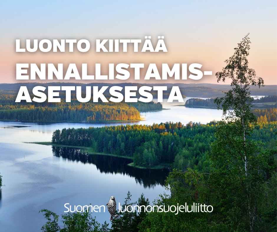 TapaniVeistola's tweet photo. KIITOS Suomen ja Euroopan luonto sekä @luonnonsuojelu kiittävät #ennallistamisasetus Suojelualueiden lisäksi tarvitaan ennallistamista. Suomi on siinä hyvä #HELMI #METSO #NOUSU #SOTKA ohjelmien ansiosta. #NRL https://t.co/vPtUU1GQlt
