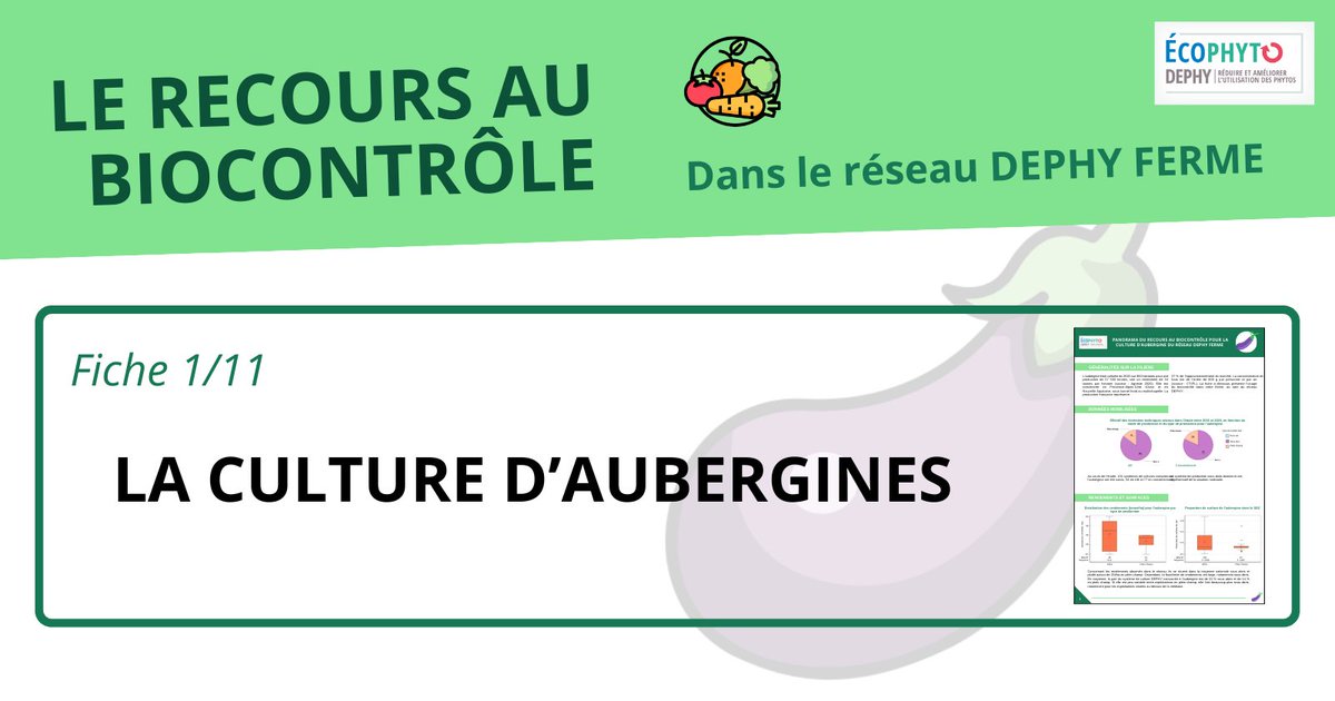 [Fiche #biocontrôle] L'#aubergine

Etude menée sur la culture de l’aubergine dans le réseau #DEPHY sur 131 systèmes de cultures
👉 41% (54) menés en #AB
👉 83% (103) en culture sous abris

A découvrir : cutt.ly/teoHIhZS

#maraichage #agriculture