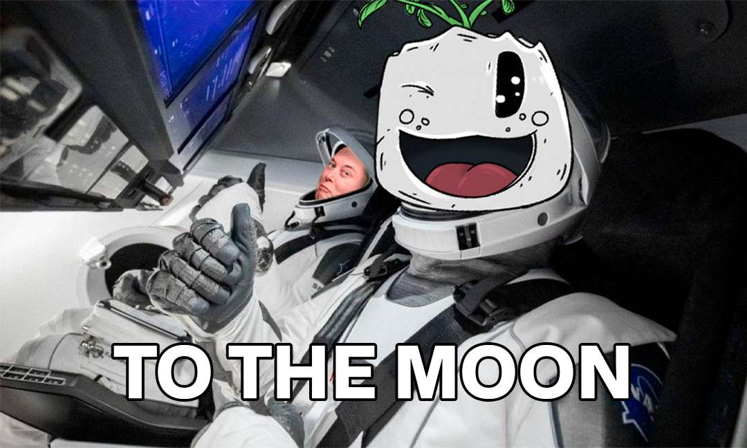 @robovrs GM @robovrs

You need to check out <a href="/emmyonsol/">$EMMY | The Based Plant</a> on solana fam

It's fuckin <a href="/MagicEden/">Magic Eden 🪄</a>'s mascot and best memecoin around 

Had partnerships and so many surprises for Hodlers already from top tier projects on solana

Ticker is $EMMY

8Qrc2pf9p24NyJVG1FagnqJXwKw6h5L5McxnMfJoUxev