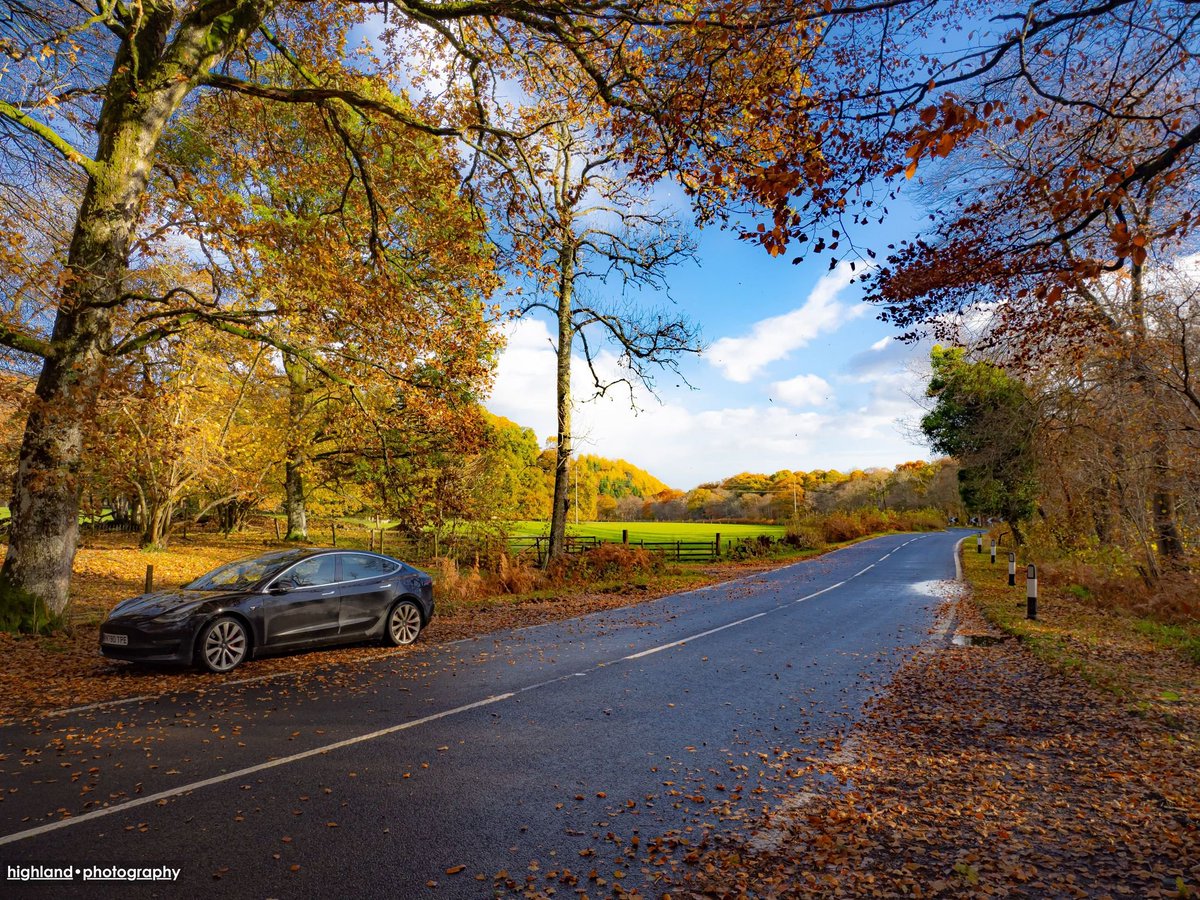 Noss Head Lighthouse Keeper's Cottage tweet media