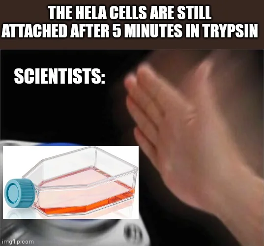 DNA&RNA Universe 𝕏 (@dna_rna_uni) on Twitter photo 