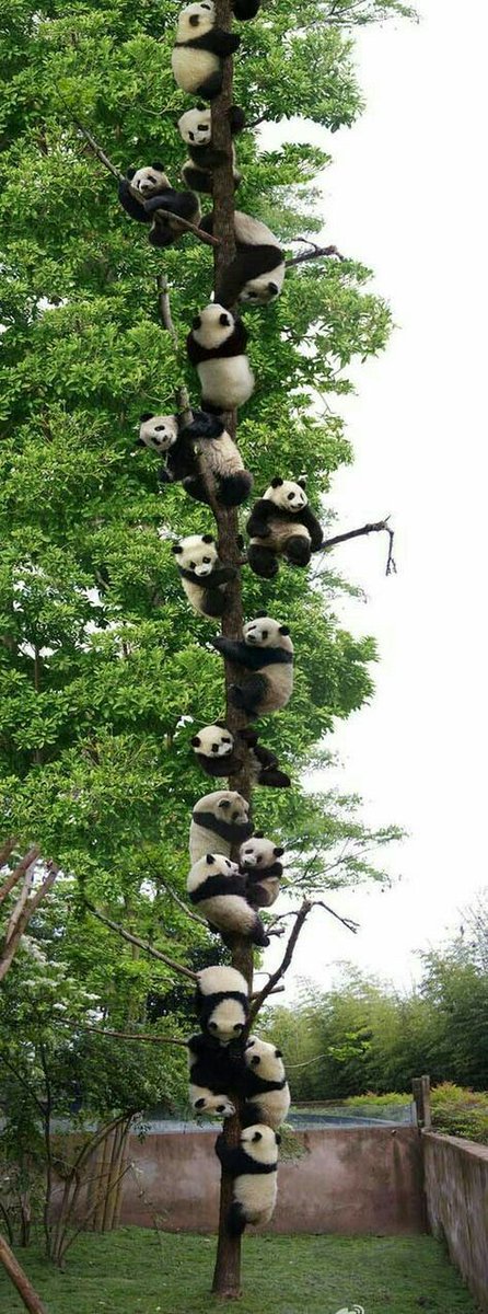 vivaneil (@vivaneil1234) on Twitter photo 