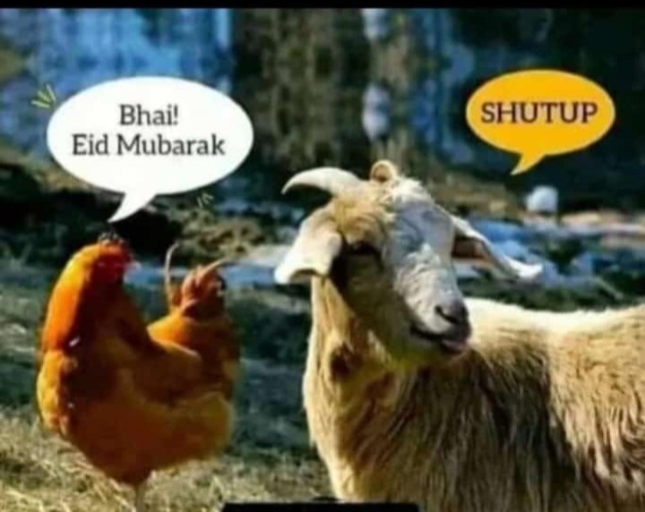 mah_kamil123's tweet photo. Scenes right now 😀
#EidAzha https://t.co/9YVPsO78AC