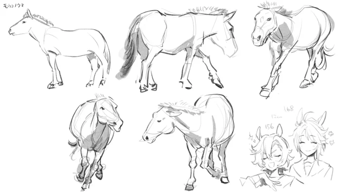 https://t.co/4MCMF3o2ja モウコノウマクロッキー 馬の基本形描き慣れないとダメだな〜 