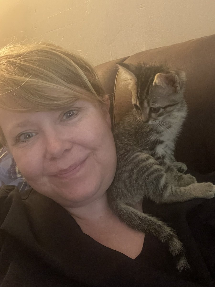 Enjoy a picture of my cute kittens. No they aren’t twins, and yes that’s two different kittens.