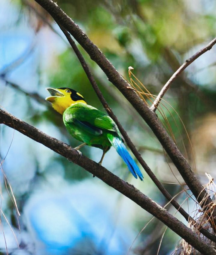 Nikhil Singla tweet media