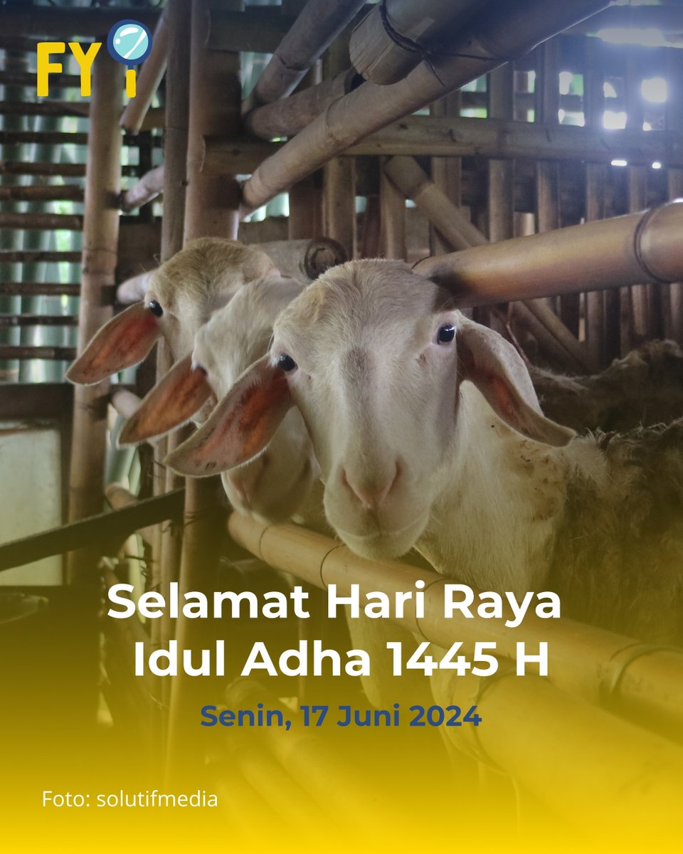findyourinfo_'s tweet photo. Hai Finders!🧐

Selamat Hari Raya Idul Adha 1445 H!

Mari tingkatkan ketaqwaan dan keikhlasan diri di momen Idul Adha ini✨

#FindYourInfo #HariRayaIdulAdha #SatuKlikMembukaDunia https://t.co/BXQWbBMrlG