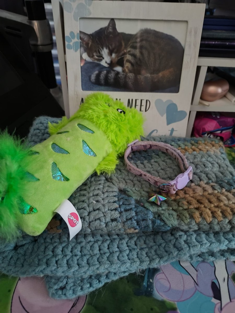 Tweginator's tweet image. The blanket Xtra came home with on the day of her adoption, the last toy I bought for her, and the collar she wore. This loss has been so traumatic for me. I feel so numb. I&apos;ve literally lost the light of my life.