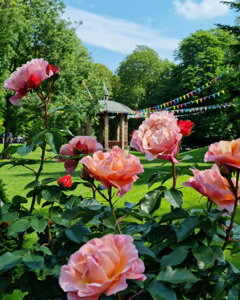 Très belle semaine à tous
🚩 Île de Puteaux
📸 ©evelyneb0328
 #visitparisregion
